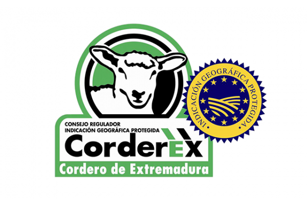 CORDEREX